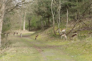 wandelen-april-01